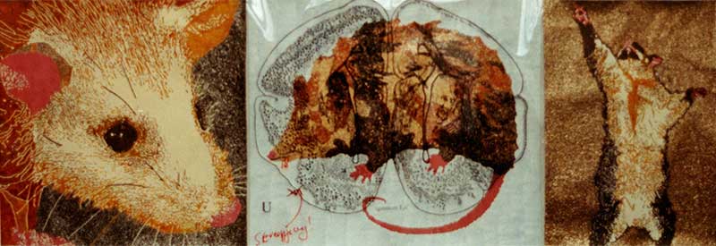 Drieluik De Virginian Opossum 170 x 60 cm inkt en mica-acryl op papier