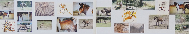 2022_Huntenkunst_studie_quagga